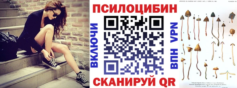 Псилоцибиновые грибы Psilocybine cubensis  Шумерля 